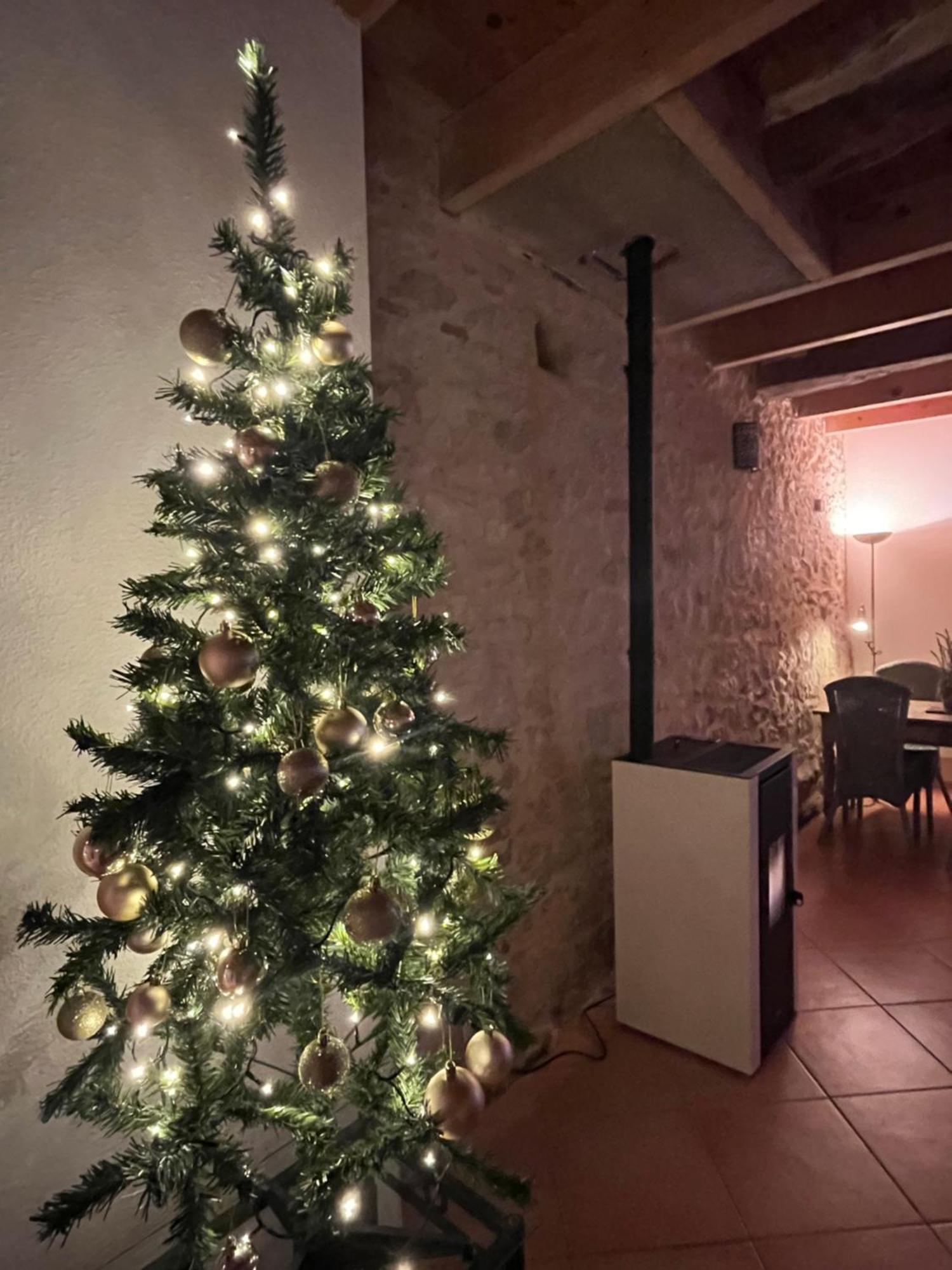 Villa No 10 Vic Fezensac Vic-Fezensac Esterno foto